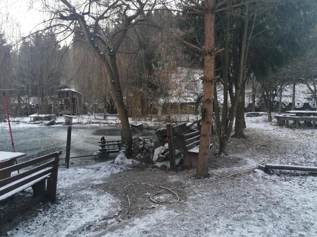 Pensiunea Perla Maramuresului Borşa Buitenkant foto