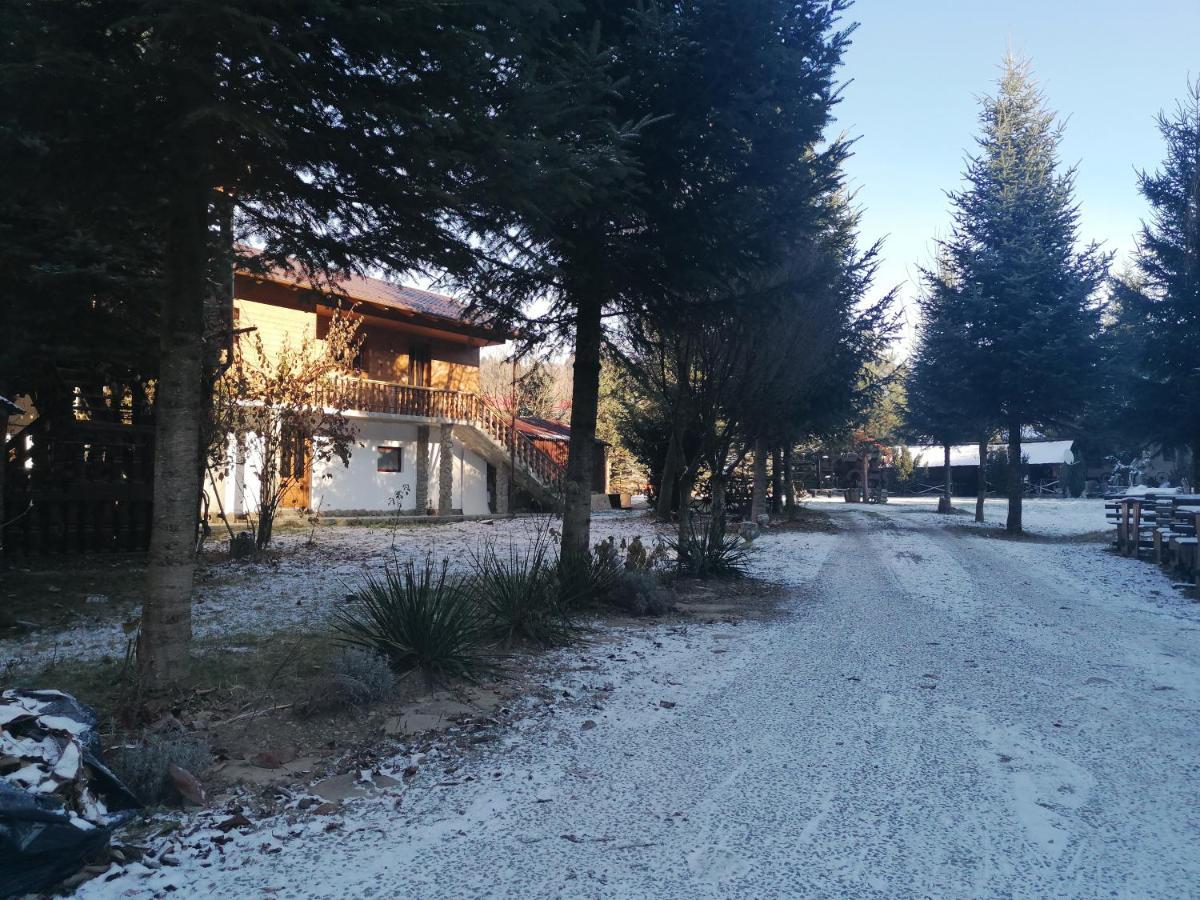 Pensiunea Perla Maramuresului Borşa Buitenkant foto
