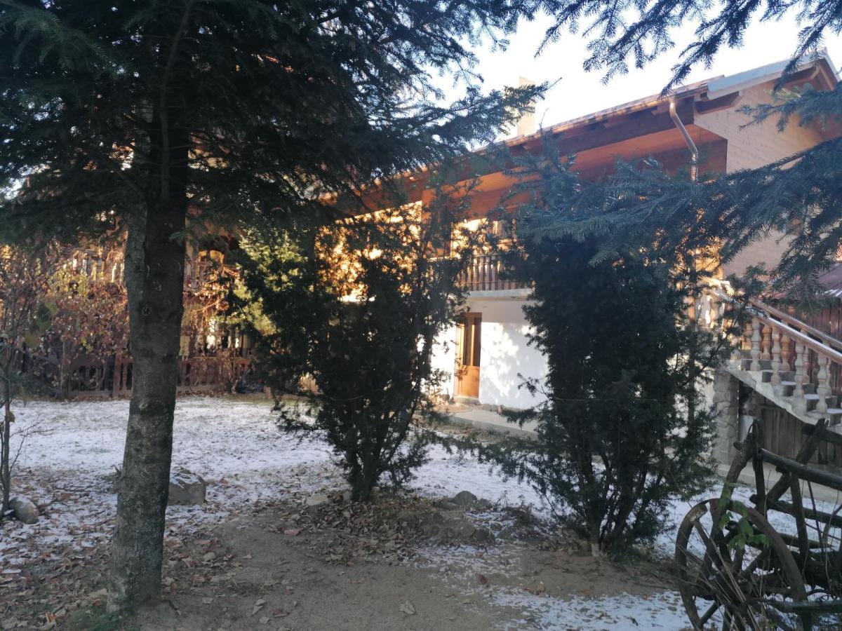 Pensiunea Perla Maramuresului Borşa Buitenkant foto