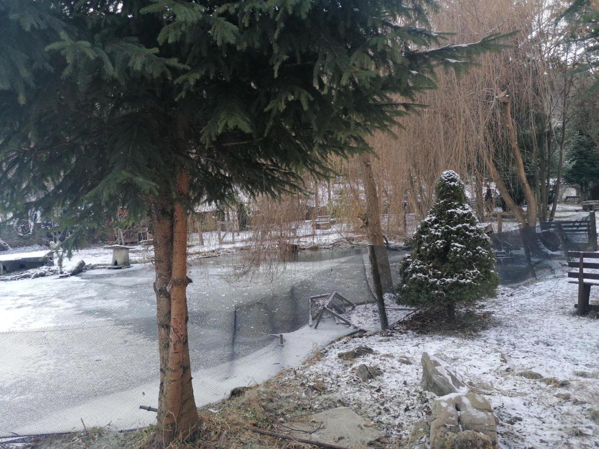 Pensiunea Perla Maramuresului Borşa Buitenkant foto