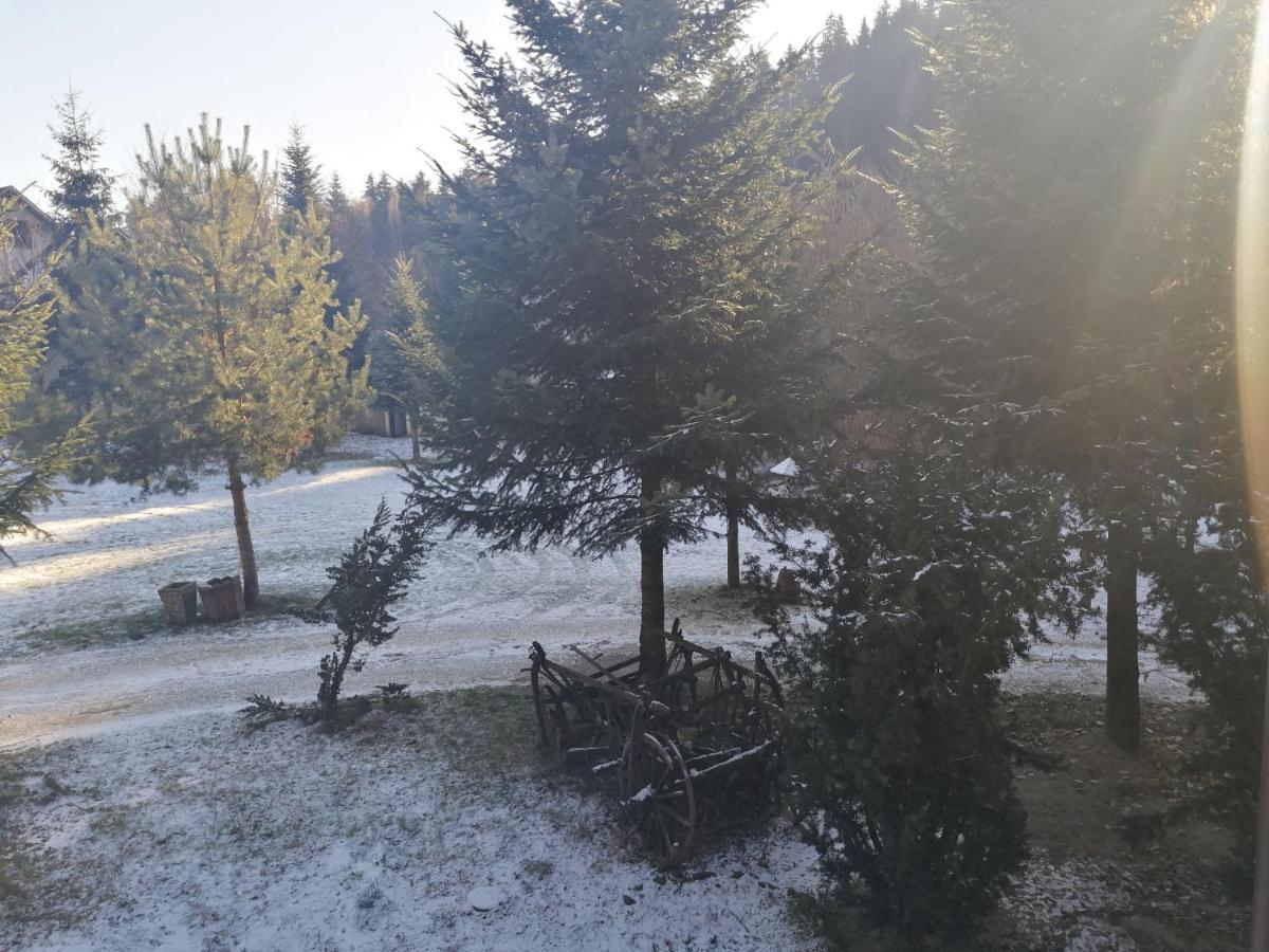 Pensiunea Perla Maramuresului Borşa Buitenkant foto
