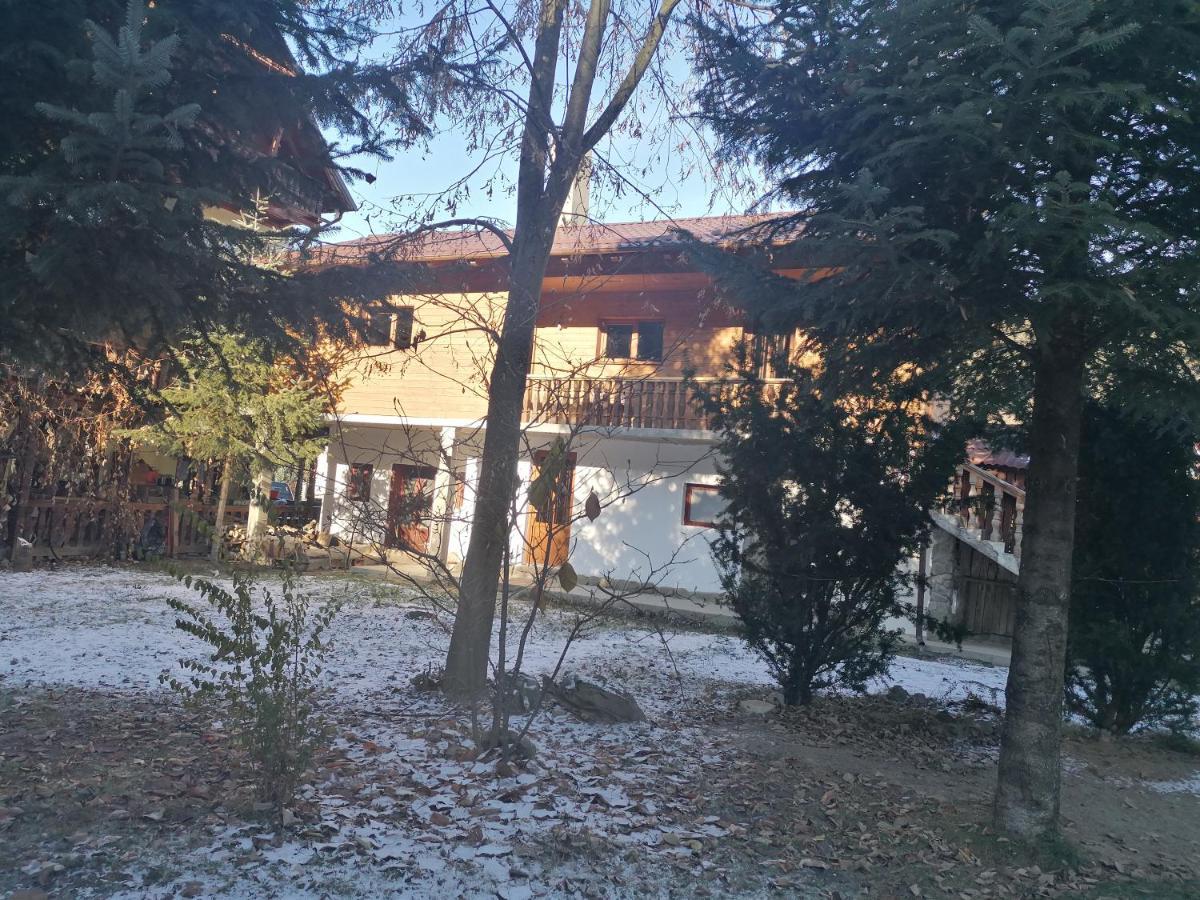 Pensiunea Perla Maramuresului Borşa Buitenkant foto