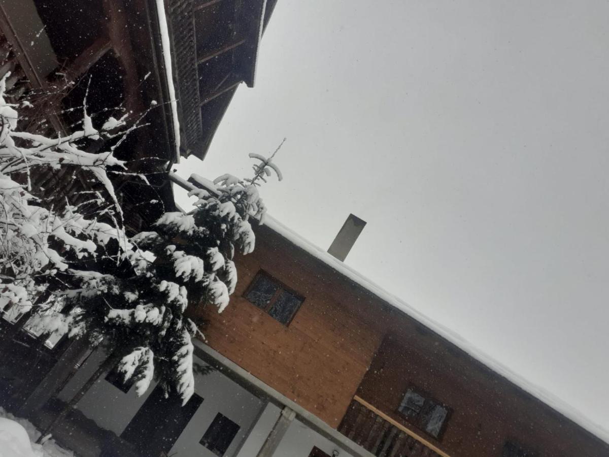 Pensiunea Perla Maramuresului Borşa Buitenkant foto