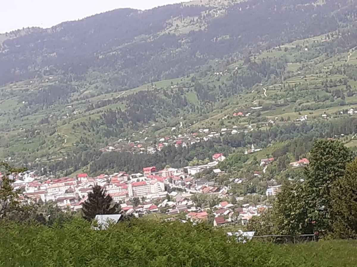 Pensiunea Perla Maramuresului Borşa Buitenkant foto