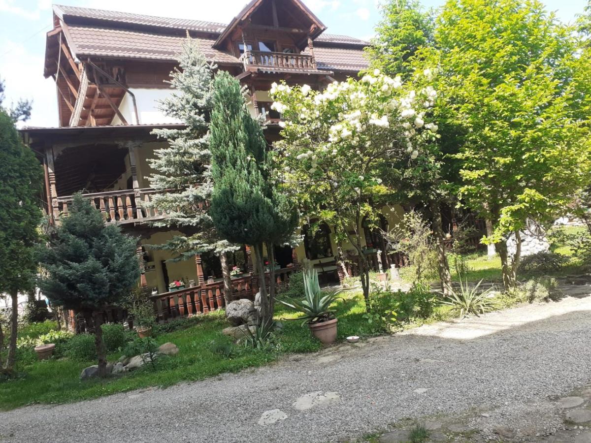 Pensiunea Perla Maramuresului Borşa Buitenkant foto