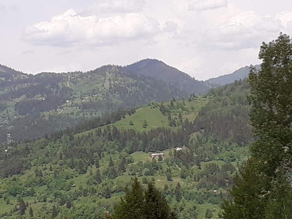 Pensiunea Perla Maramuresului Borşa Buitenkant foto