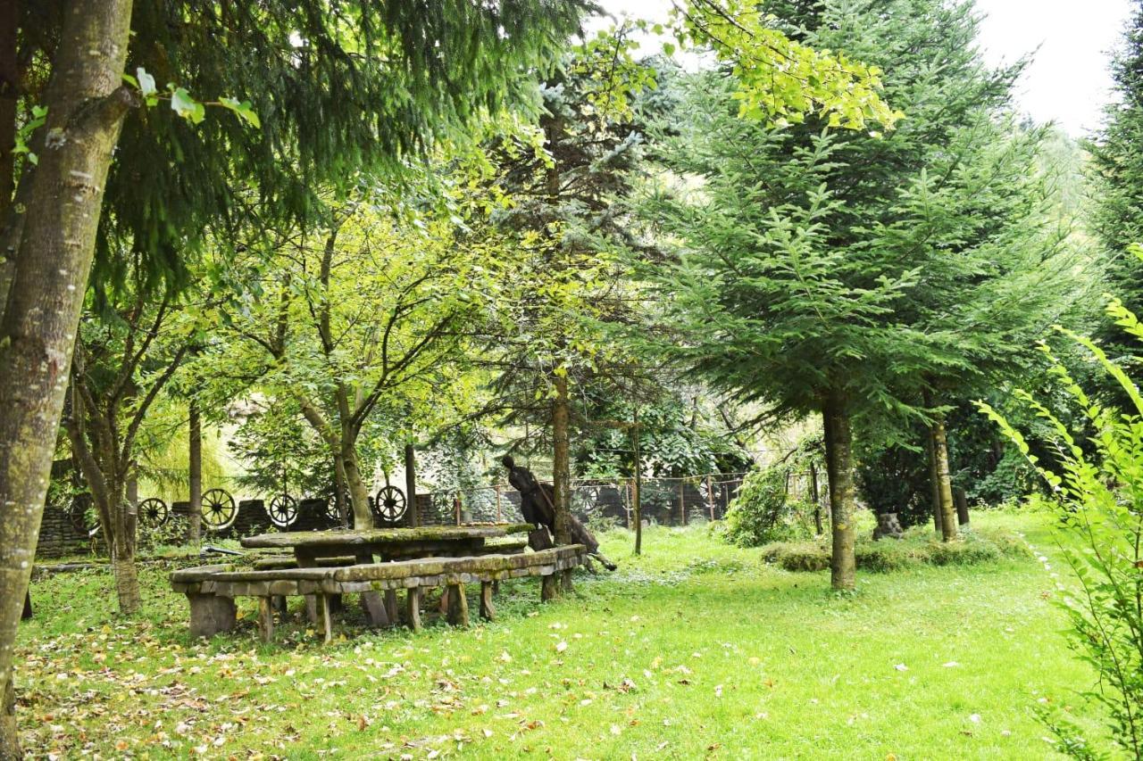 Pensiunea Perla Maramuresului Borşa Buitenkant foto