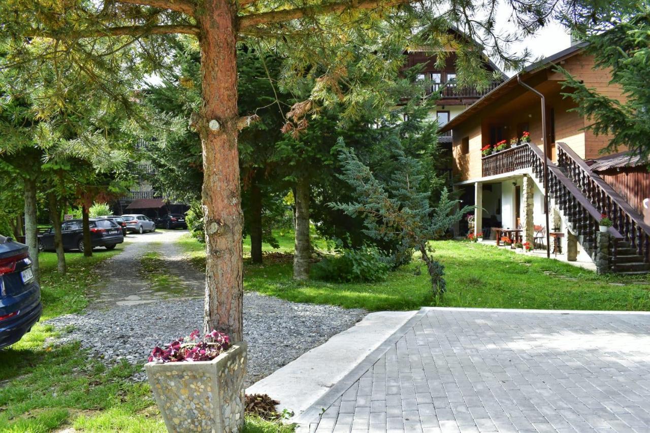 Pensiunea Perla Maramuresului Borşa Buitenkant foto