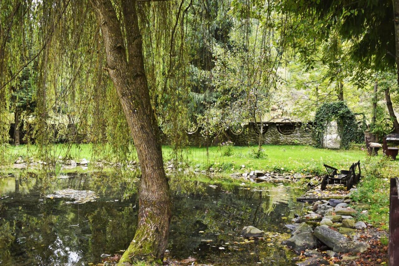 Pensiunea Perla Maramuresului Borşa Buitenkant foto