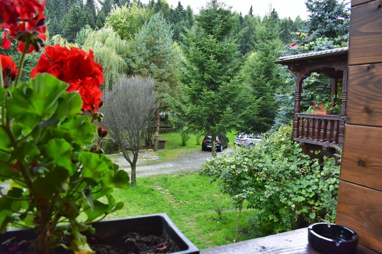 Pensiunea Perla Maramuresului Borşa Buitenkant foto