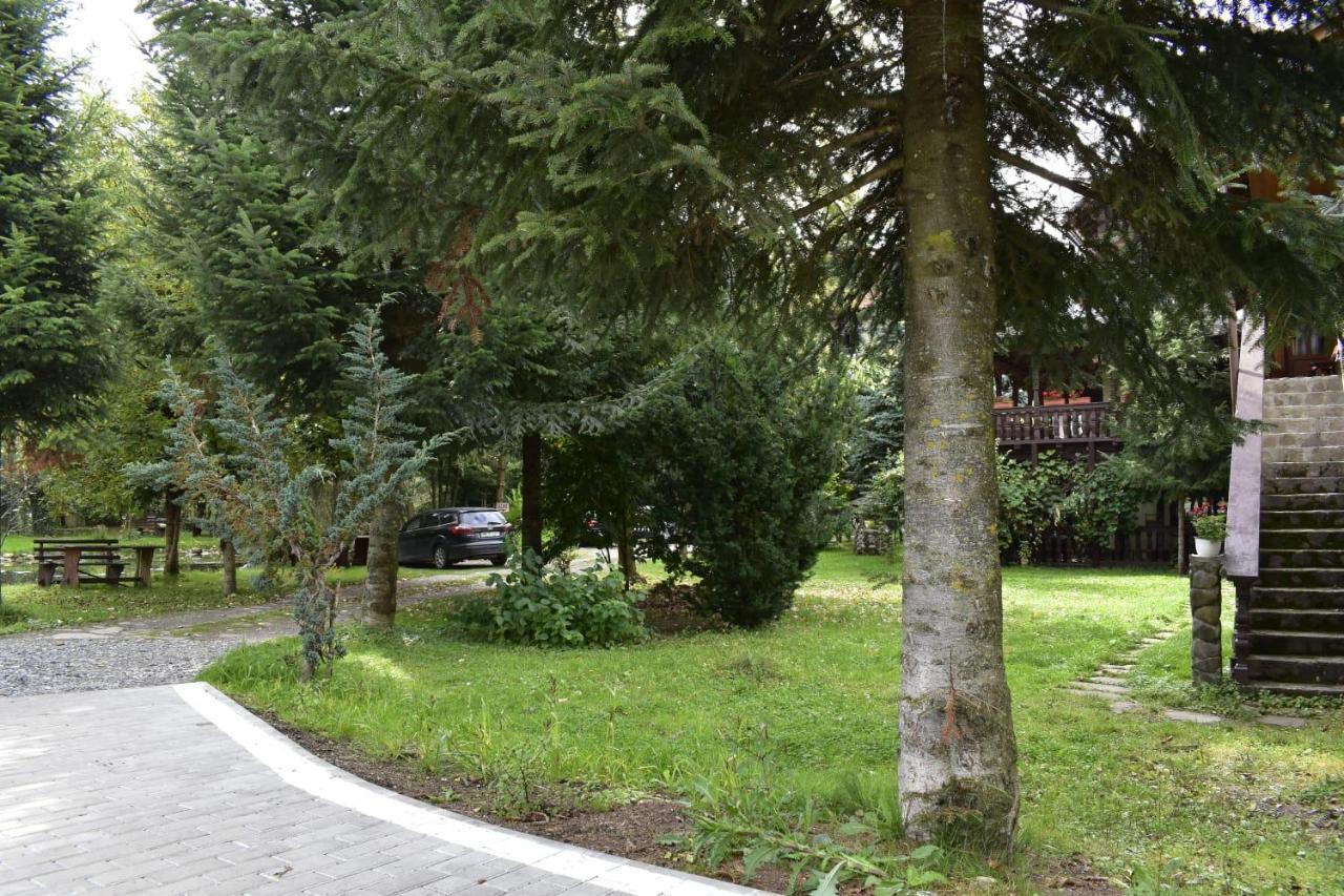 Pensiunea Perla Maramuresului Borşa Buitenkant foto