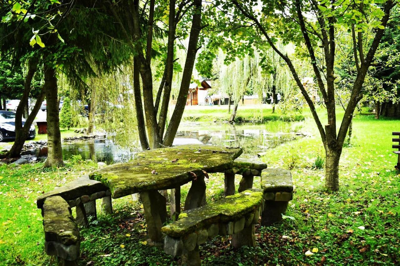 Pensiunea Perla Maramuresului Borşa Buitenkant foto