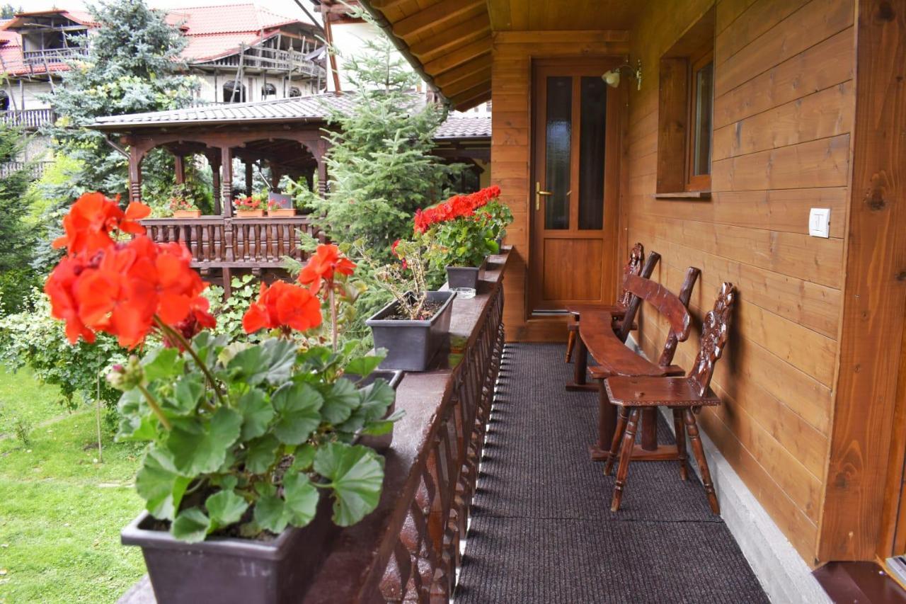 Pensiunea Perla Maramuresului Borşa Buitenkant foto