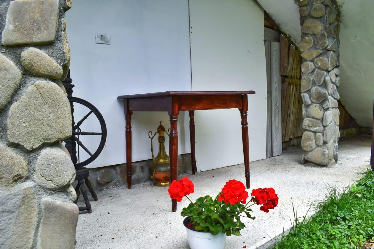 Pensiunea Perla Maramuresului Borşa Buitenkant foto