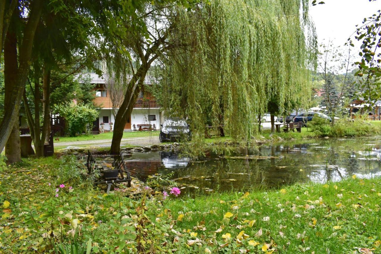Pensiunea Perla Maramuresului Borşa Buitenkant foto