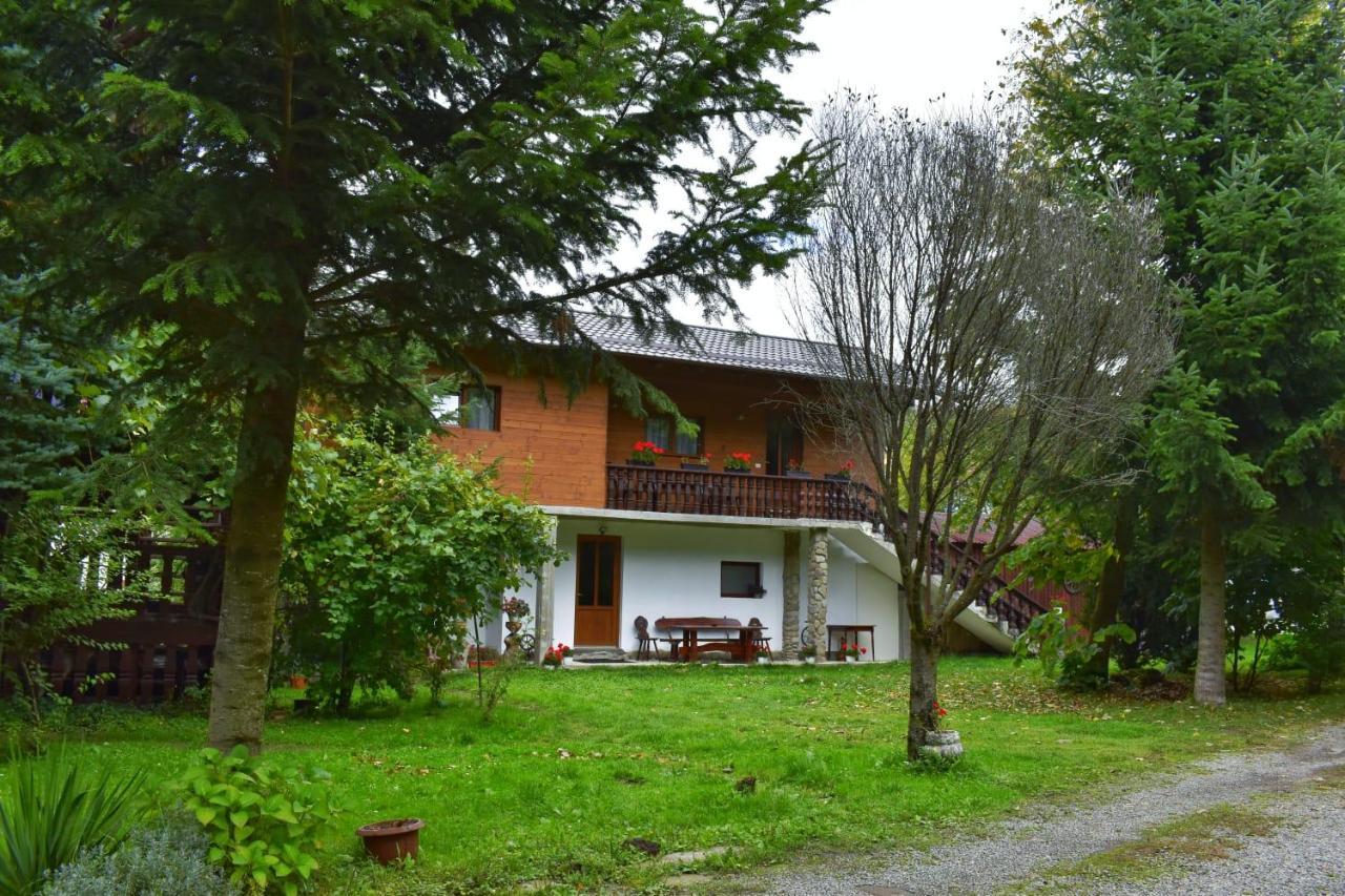 Pensiunea Perla Maramuresului Borşa Buitenkant foto
