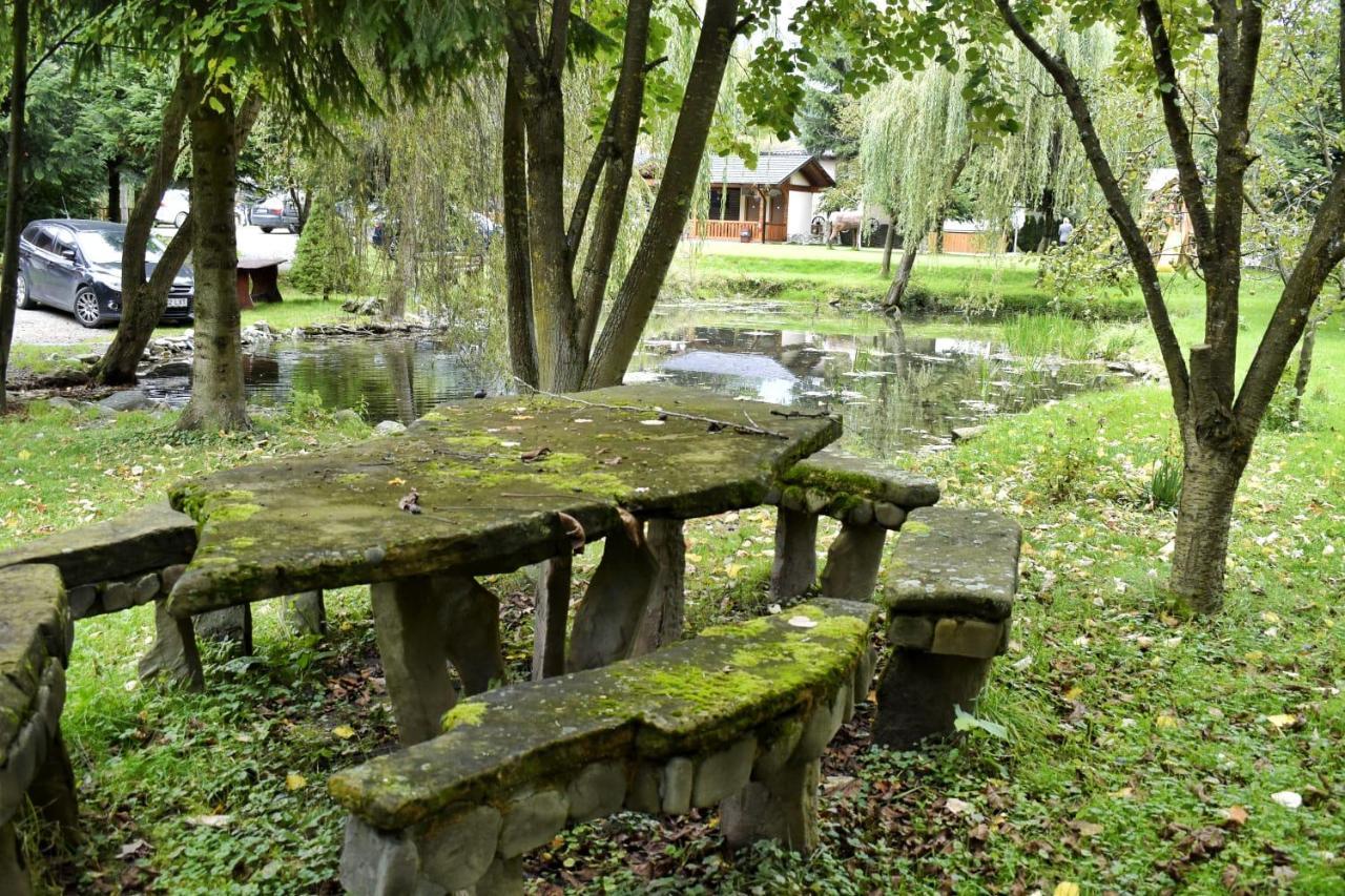 Pensiunea Perla Maramuresului Borşa Buitenkant foto